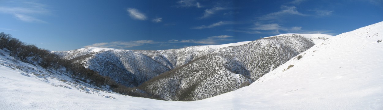 orchard - heavenly valley panorama.jpg