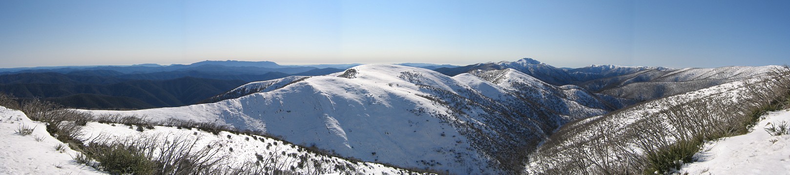 razorback panorama.jpg
