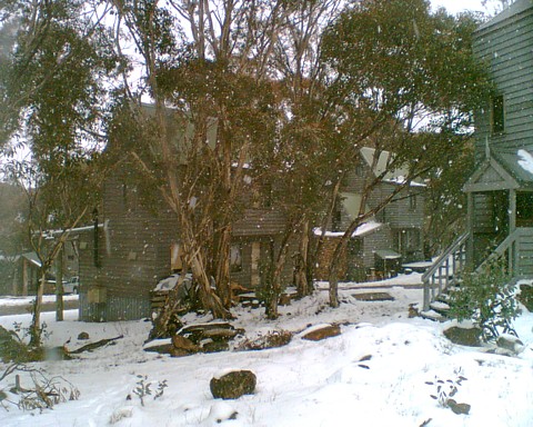 SnowDP022.jpg